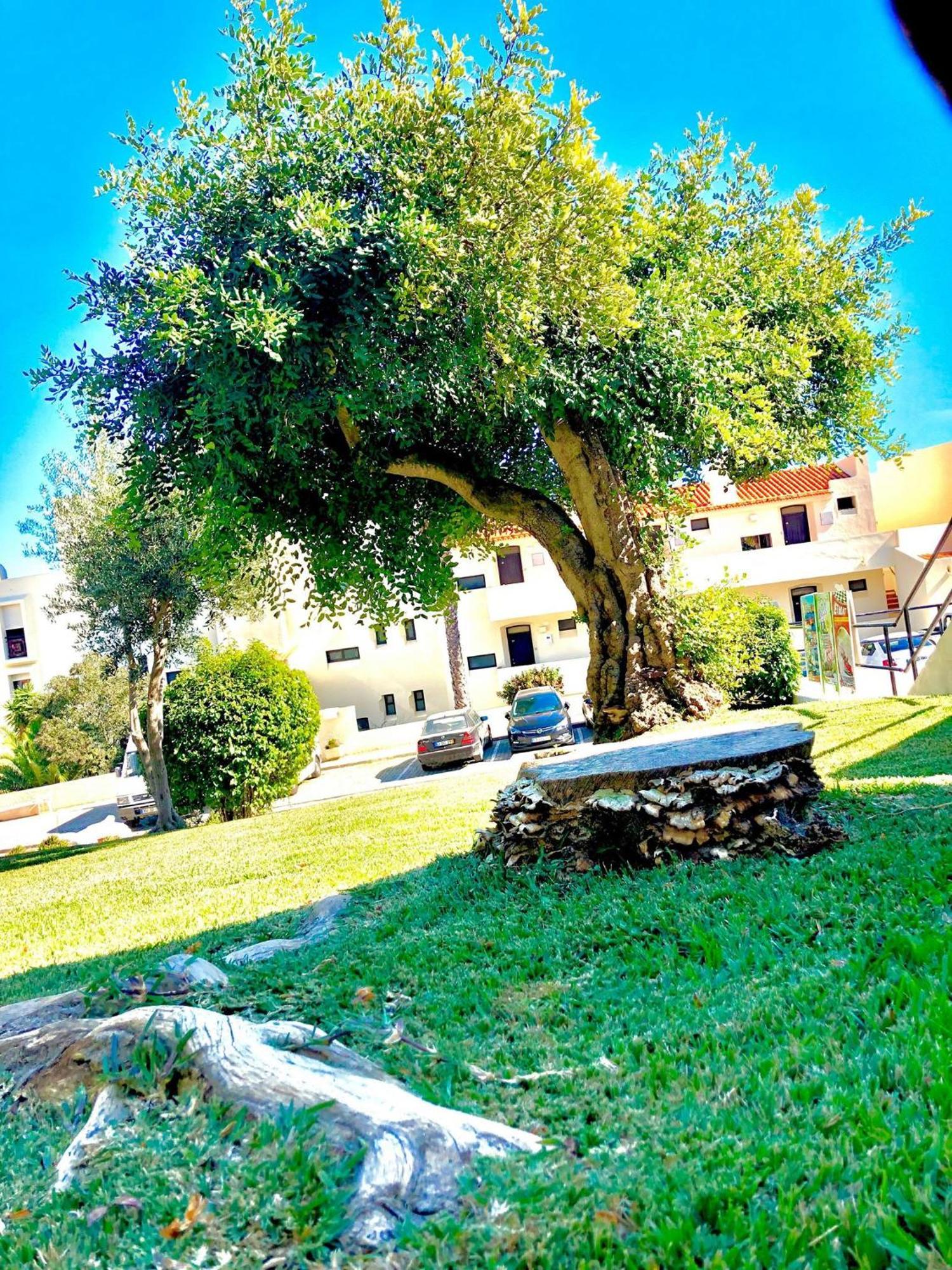 Albufeira Jardim - Apartamentos Turisticos 외부 사진