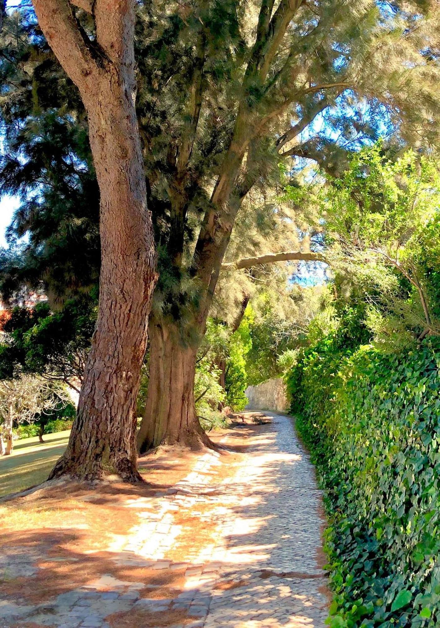 Albufeira Jardim - Apartamentos Turisticos 외부 사진